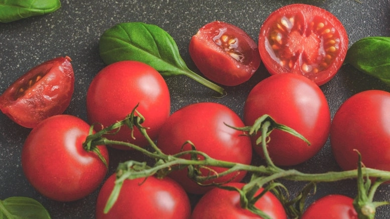 Qmee Recipes – Tomato & sourdough traybake
