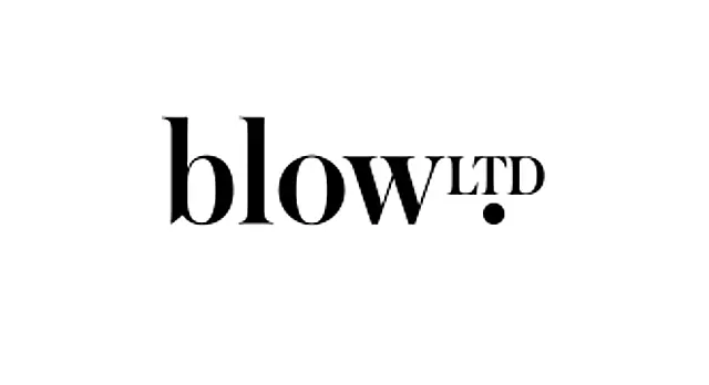 Blow LTD logo