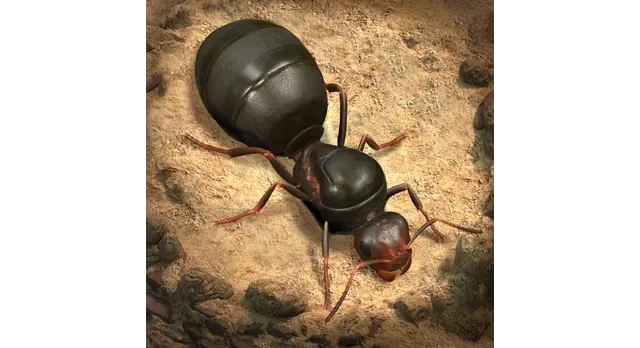 The Ants: Underground Kingdom logo