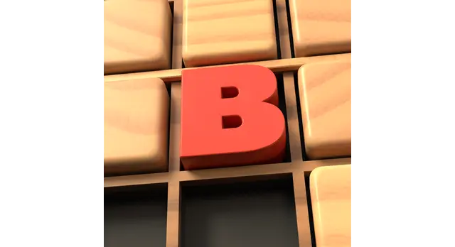 The logo for the company Braindoku: Sudoku Block Puzzle.